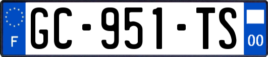 GC-951-TS