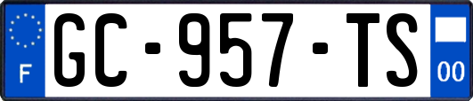 GC-957-TS
