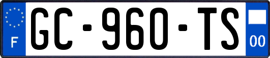 GC-960-TS