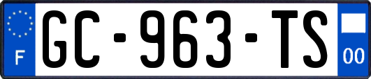 GC-963-TS