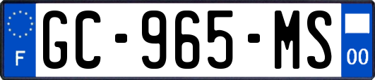 GC-965-MS