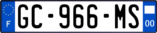 GC-966-MS