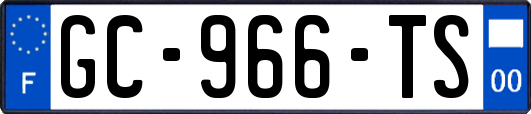 GC-966-TS