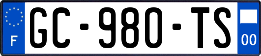 GC-980-TS