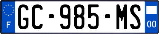 GC-985-MS