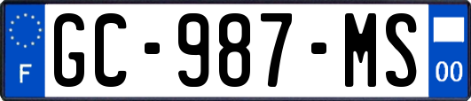 GC-987-MS
