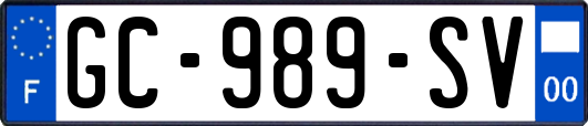 GC-989-SV