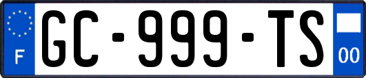 GC-999-TS