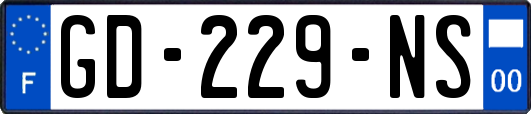 GD-229-NS