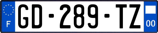 GD-289-TZ