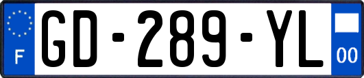 GD-289-YL