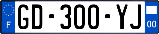 GD-300-YJ