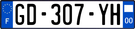 GD-307-YH