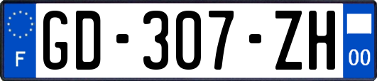 GD-307-ZH