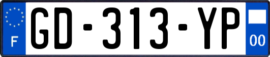 GD-313-YP