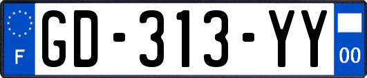 GD-313-YY