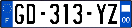 GD-313-YZ