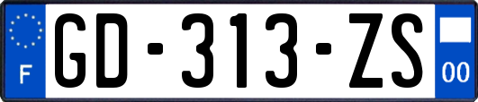 GD-313-ZS