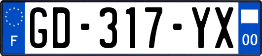 GD-317-YX