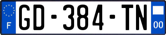 GD-384-TN