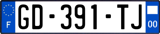 GD-391-TJ
