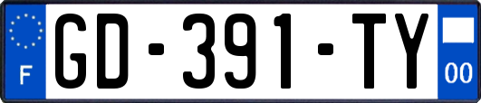 GD-391-TY