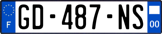 GD-487-NS