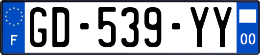 GD-539-YY