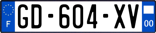 GD-604-XV