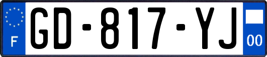 GD-817-YJ