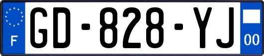 GD-828-YJ
