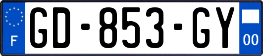 GD-853-GY