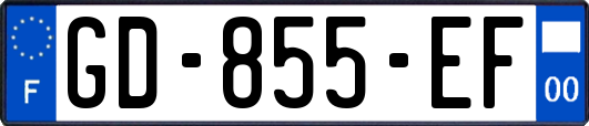 GD-855-EF