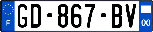 GD-867-BV