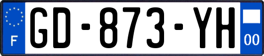 GD-873-YH