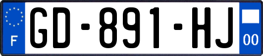 GD-891-HJ