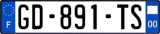 GD-891-TS