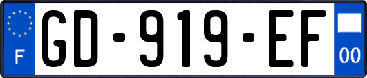GD-919-EF