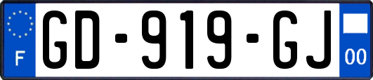 GD-919-GJ