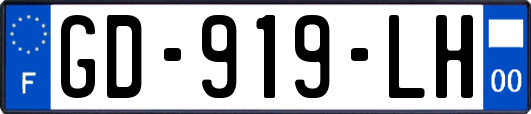 GD-919-LH