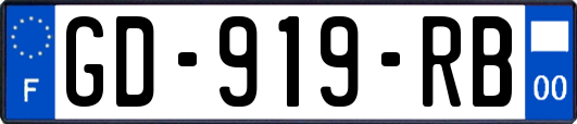 GD-919-RB