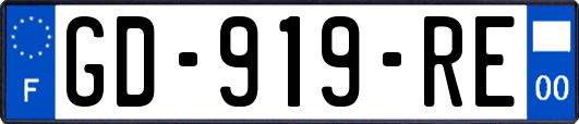 GD-919-RE