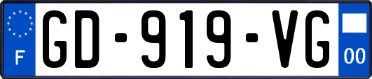 GD-919-VG