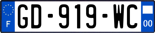 GD-919-WC