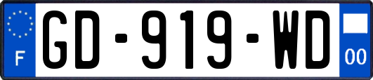 GD-919-WD