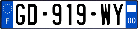 GD-919-WY