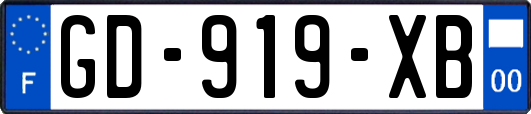 GD-919-XB