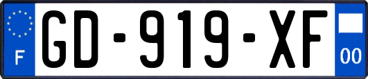 GD-919-XF