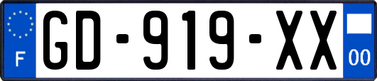 GD-919-XX