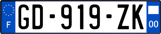 GD-919-ZK